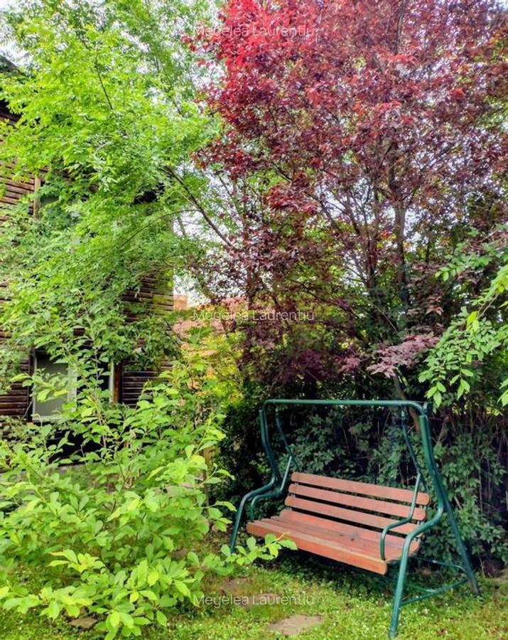 Vila de vanzare in Brebu - Zona Brebu Manastirei - 3