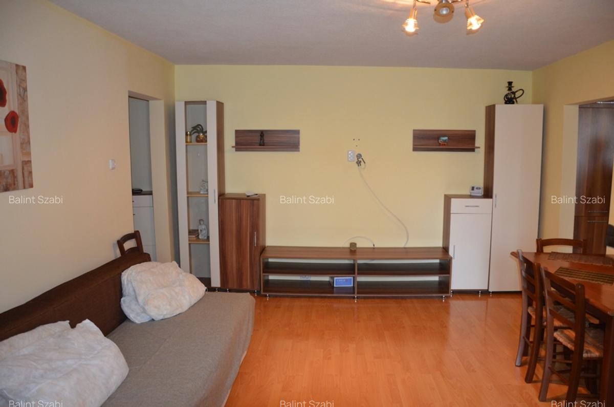 Aradului 3 camere 350 euro - 3