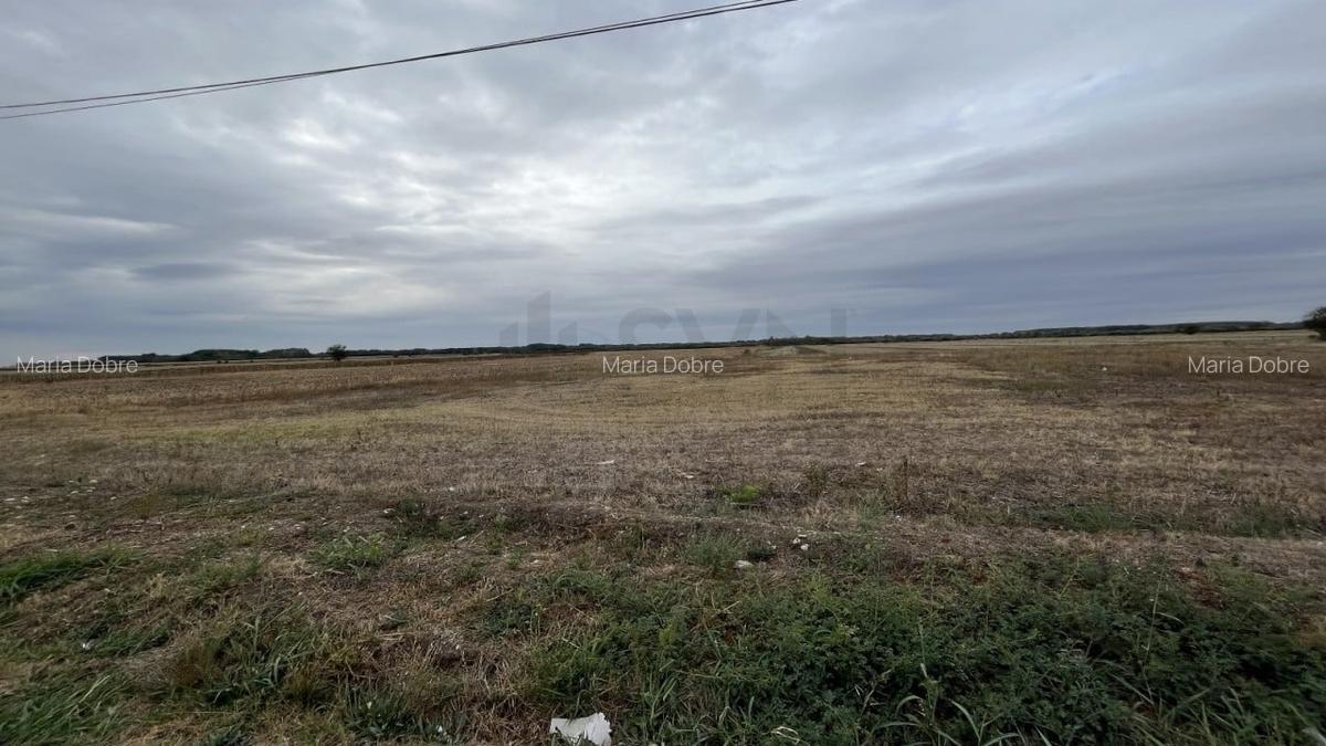 REL4001196 Teren intravilan construibil zona rezidentiala - 3