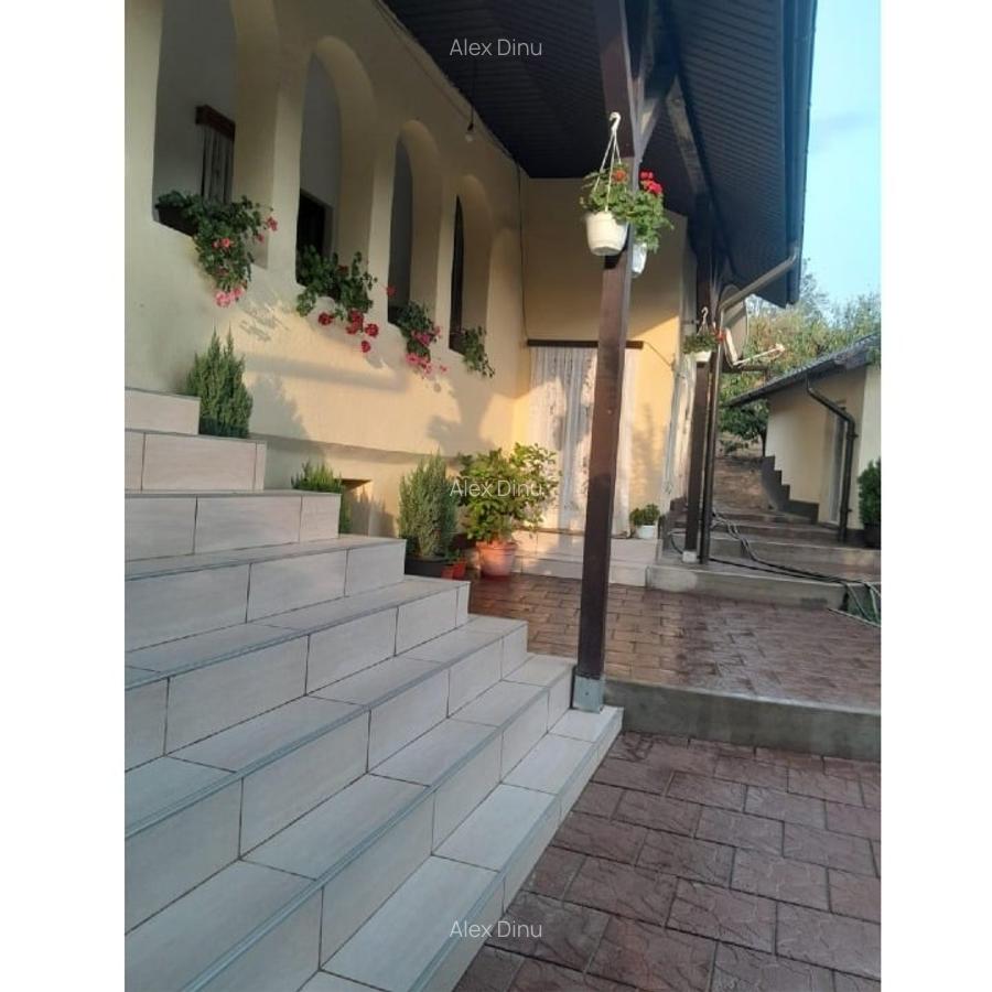 Casă rurală modernizată + 2329 mp teren, livadă și solar în Lipnița - 16