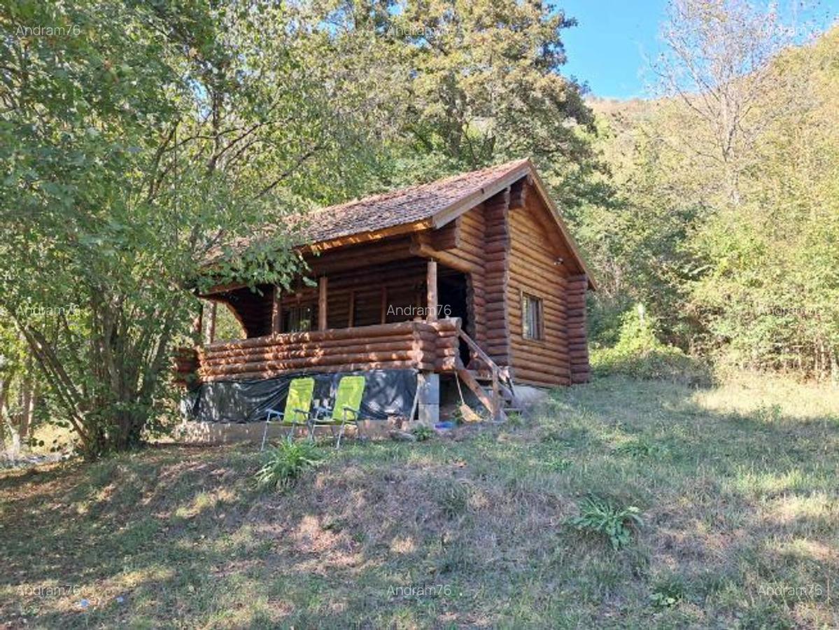 Vand cabana Valea Ariesului - 1