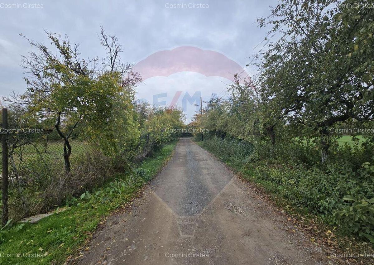 DE VANZARE Teren 3,171mp Ploiesti vizavi de Hipodrom - 14