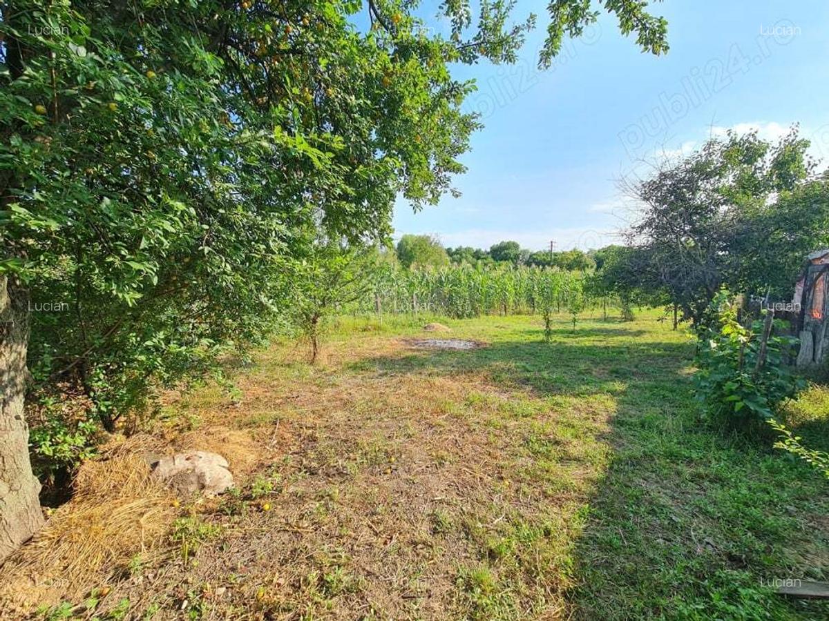 Casa si teren (79 km Bucuresti - 32 km Ploiesti - 17 km Targoviste) - 9