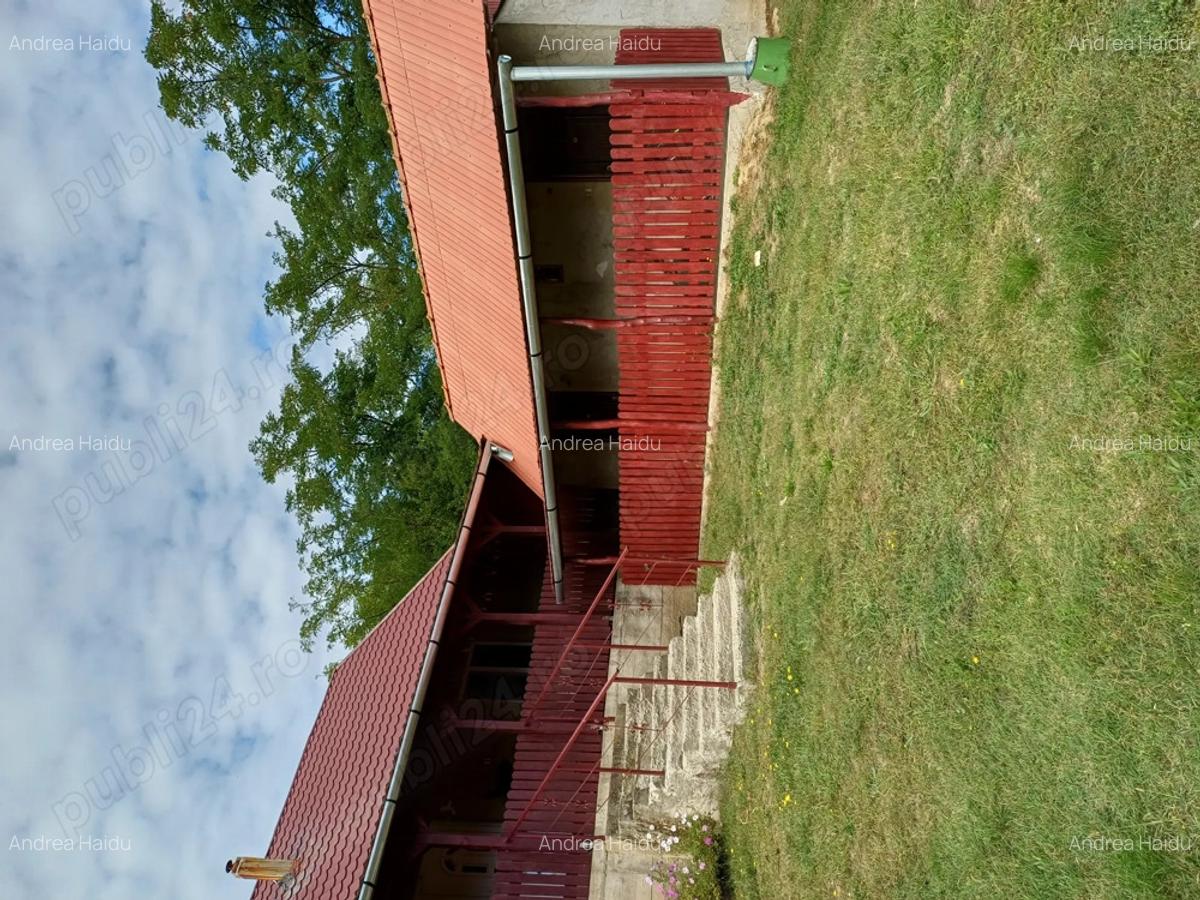 Ferma de vaci de vanzare - 4