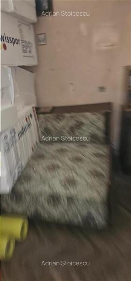 Vanzare Casa individuala+ Teren Gara de Nord-Golescu - 9