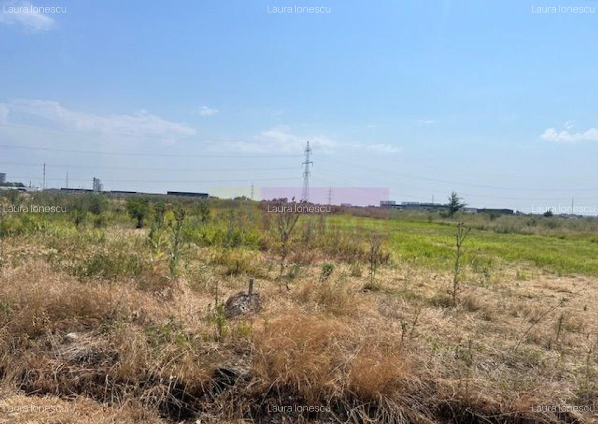 Teren Domnesti- Fortului. - 6