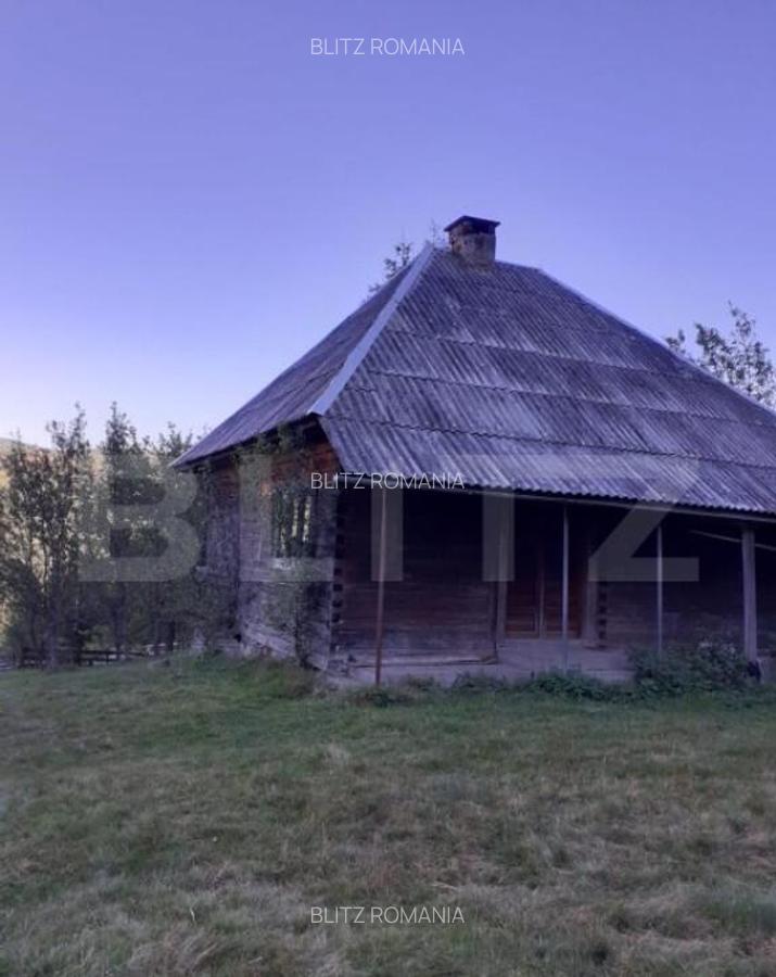 Casa la munte, cu teren 13383 mp, zona Horea - Apuseni - 5