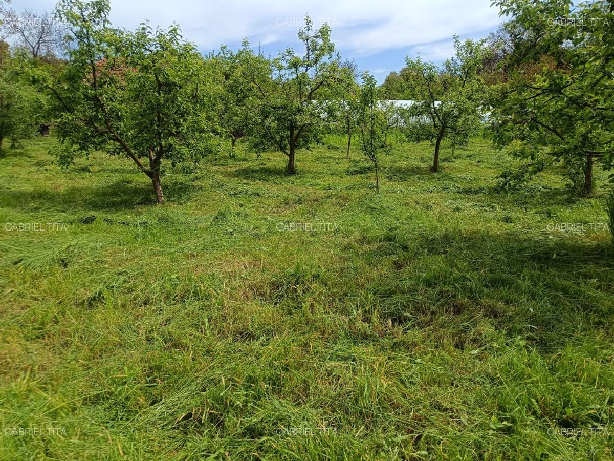 Teren intravilan de construit 2400 mp Tătarani Dâmbovița - 8