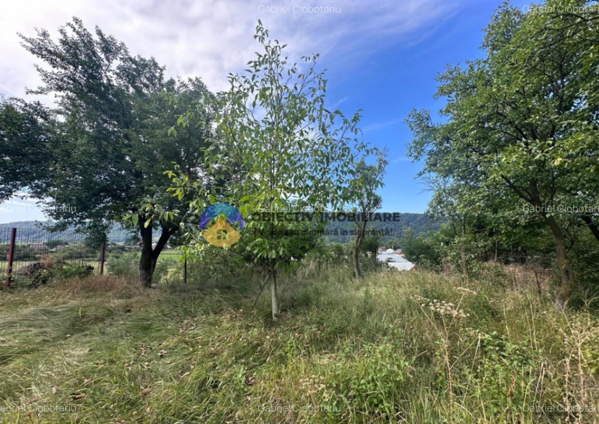 Teren + Casa de Vanzare 1170 mp Dumbrava Ro?ie, N - 13