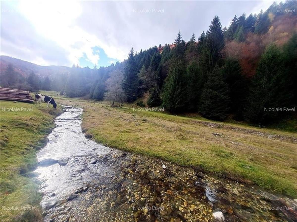 Teren intravilan panoramic 4.600mp,view iconic Piatra Craiului,oportunitate prem - 12