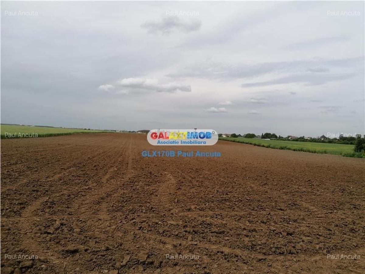 Teren Balotesti 16700 mp intravilan str Lunii apropiere utilitati - 2