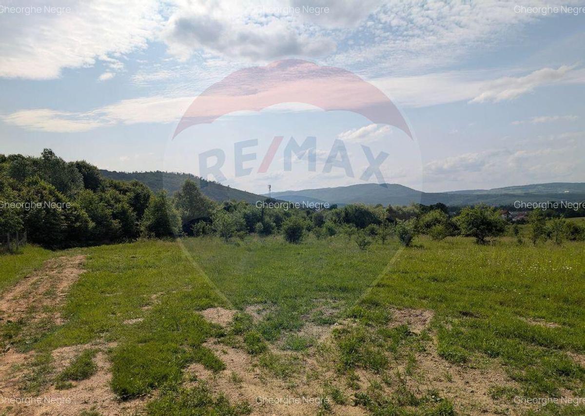 Teren intravilan de vanzare 2.444 mp - Targu Lapu? - 2