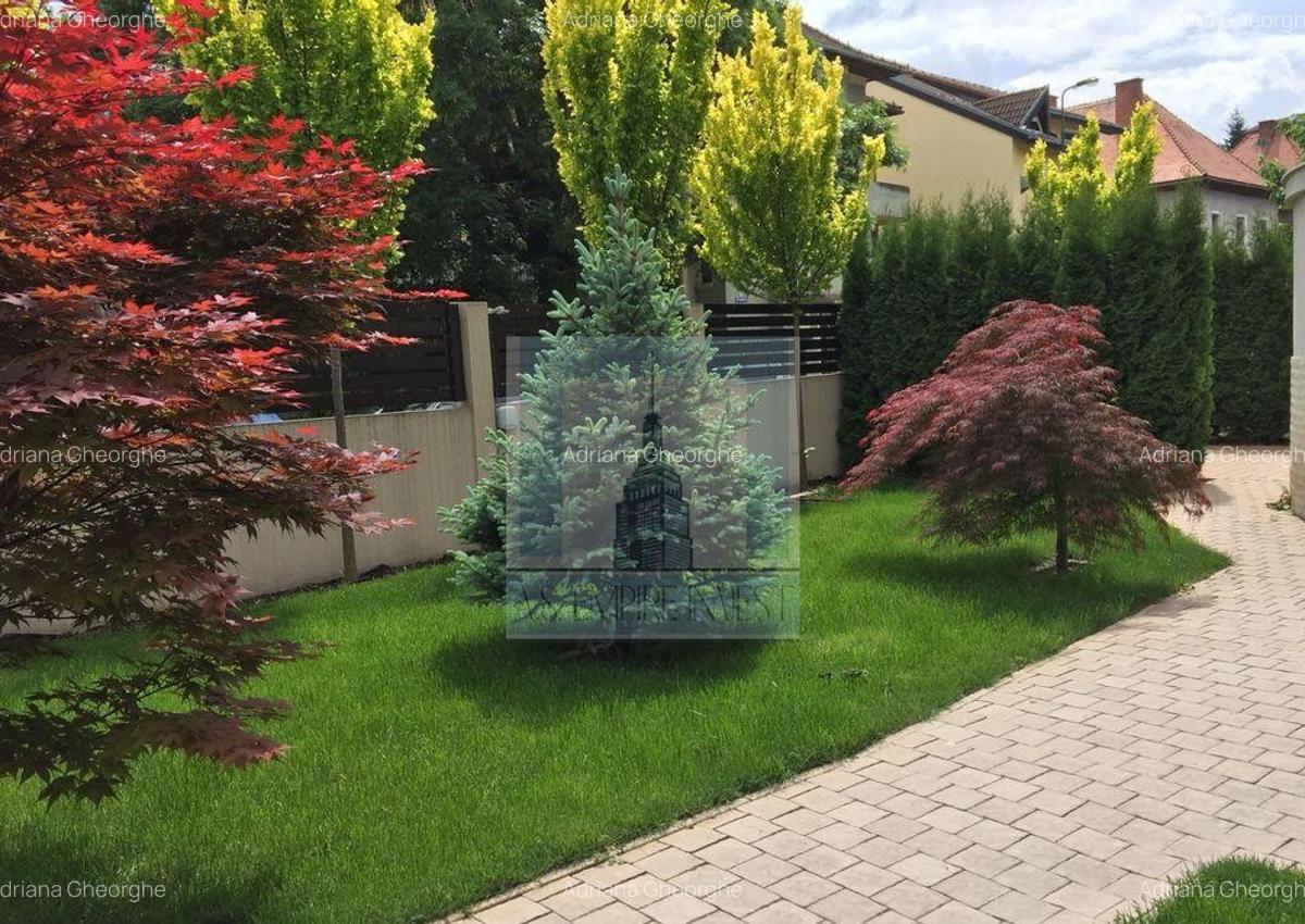 Spatiu pentru birouri de inchiriat in Centrul Istoric - 3