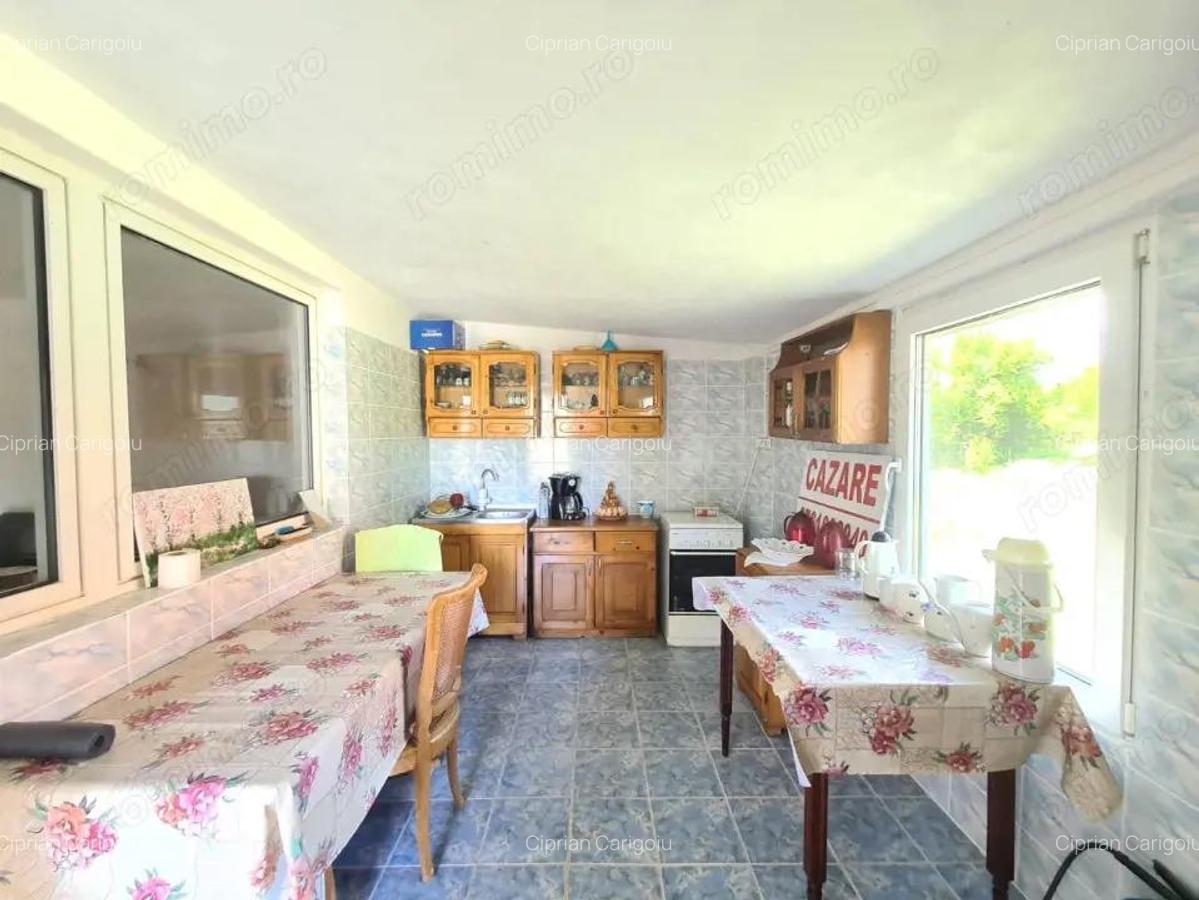 Vanzare proprietate multifunc?ionala, in Arcani, sat Sanate?ti - la DN 67 D - 6