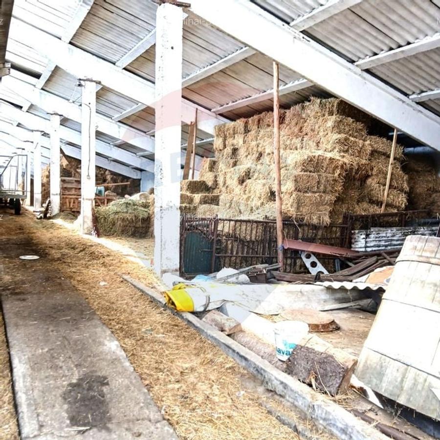Proprietate speciala de 3,100 mp de vanzare in Maierus - 2