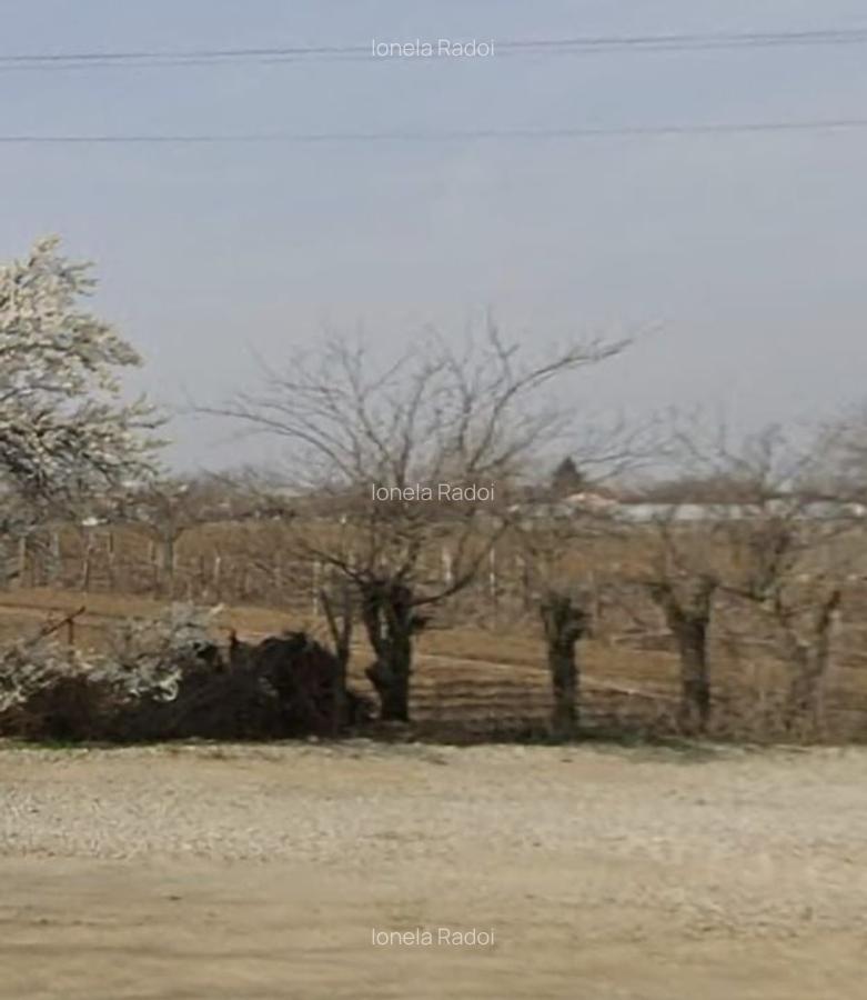 Teren centru Magurele - 4