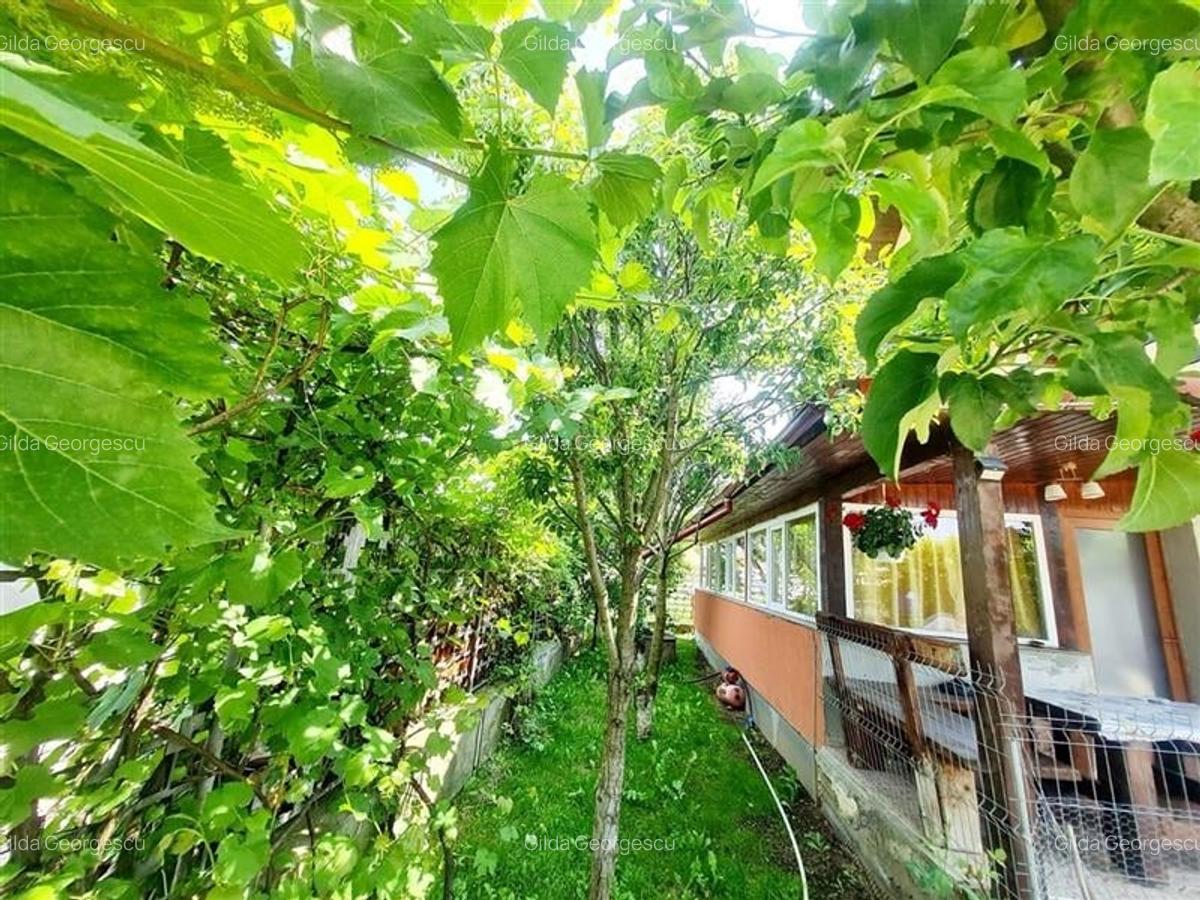 Refugiu elegant in Harman, Locuinta luminoasa, gradina proprie, priveliste panor - 27