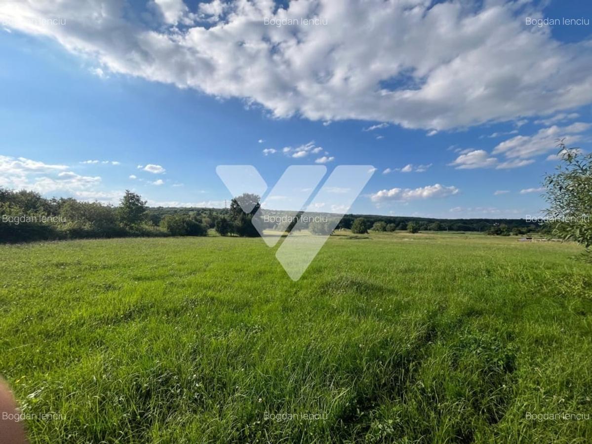 Teren intravilan - 9 loturi - Rasinari, Sibiu - 3