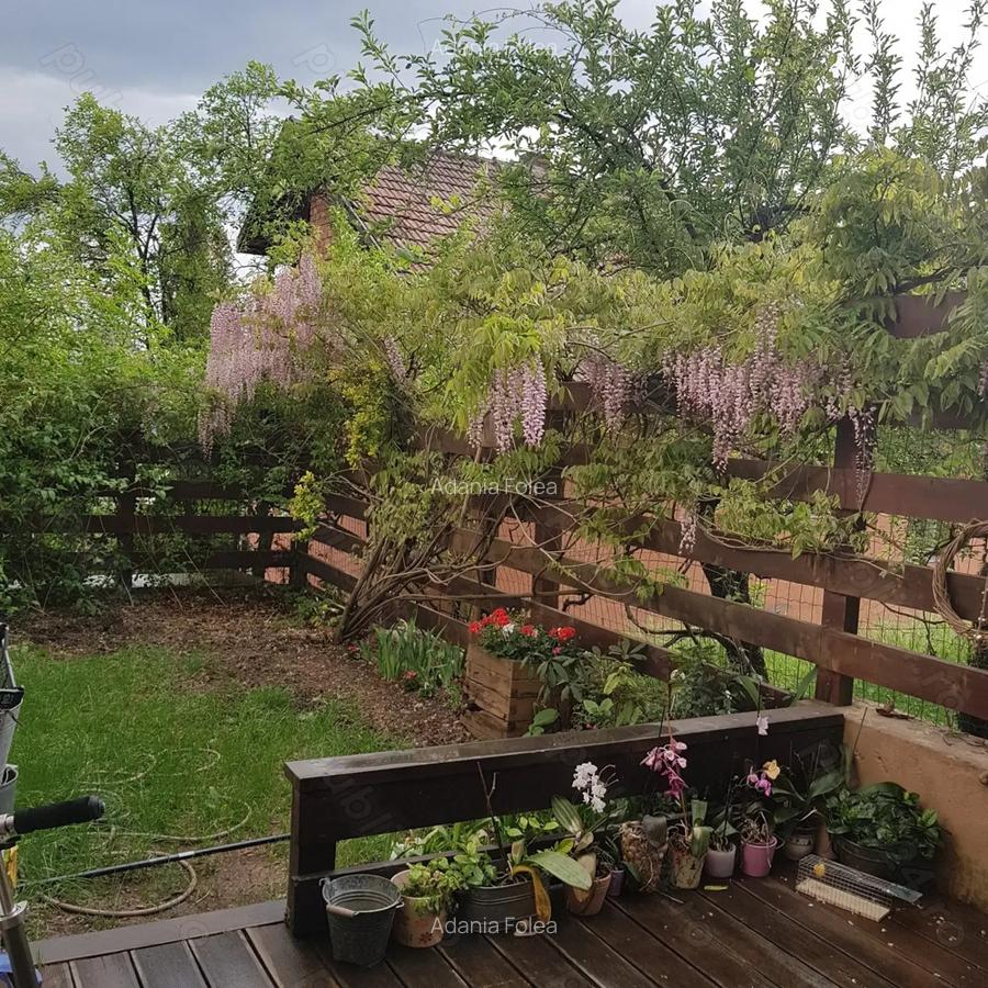 De inchiriat! Casa deosebita in Gruia, panorama spectaculoasa! - 23