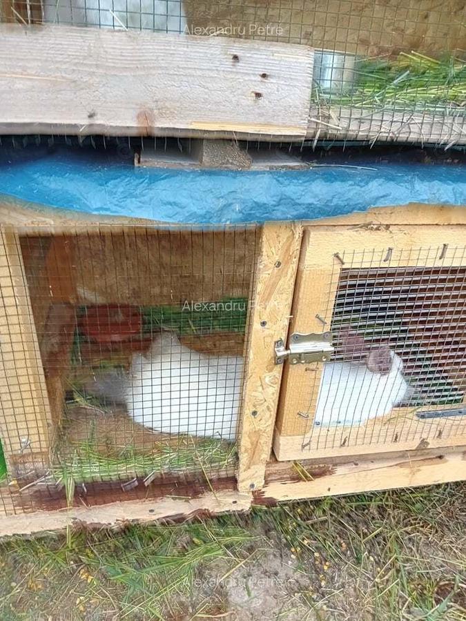 Teren +casa de vacanta - 8 Teren +casa de vacanta - 8