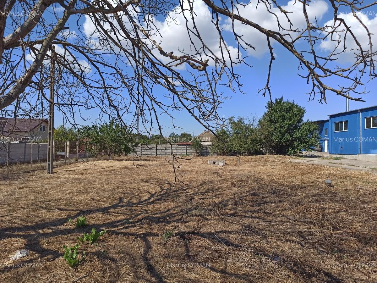 Hala de vanzare in Poiana - 2