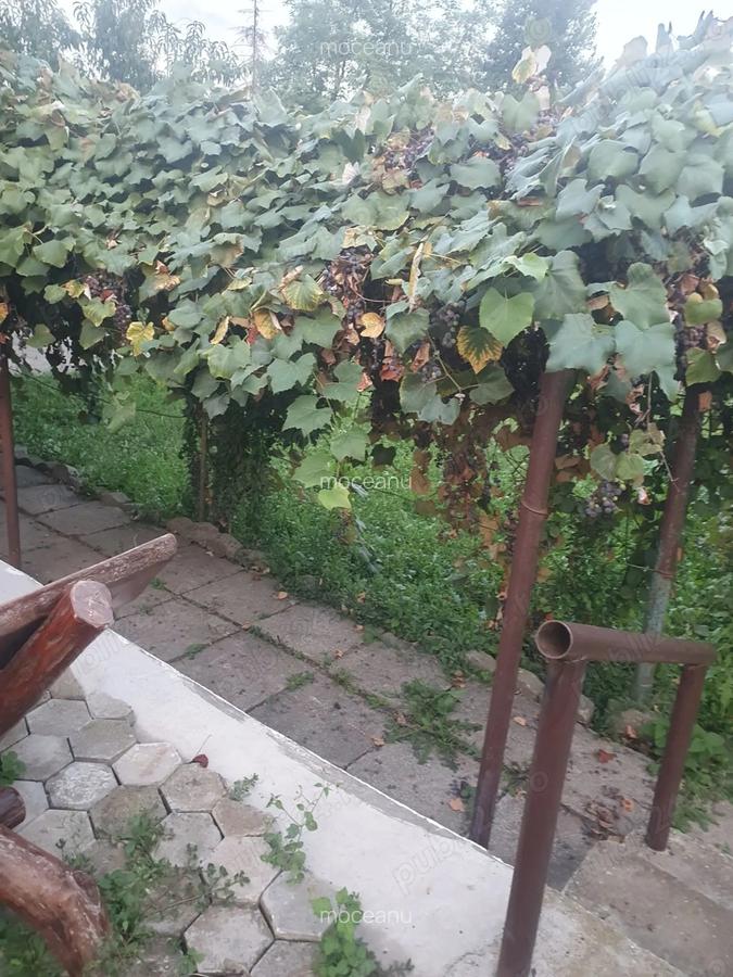 Vand casa Re?i?a - 9 Vand casa Re?i?a - 9