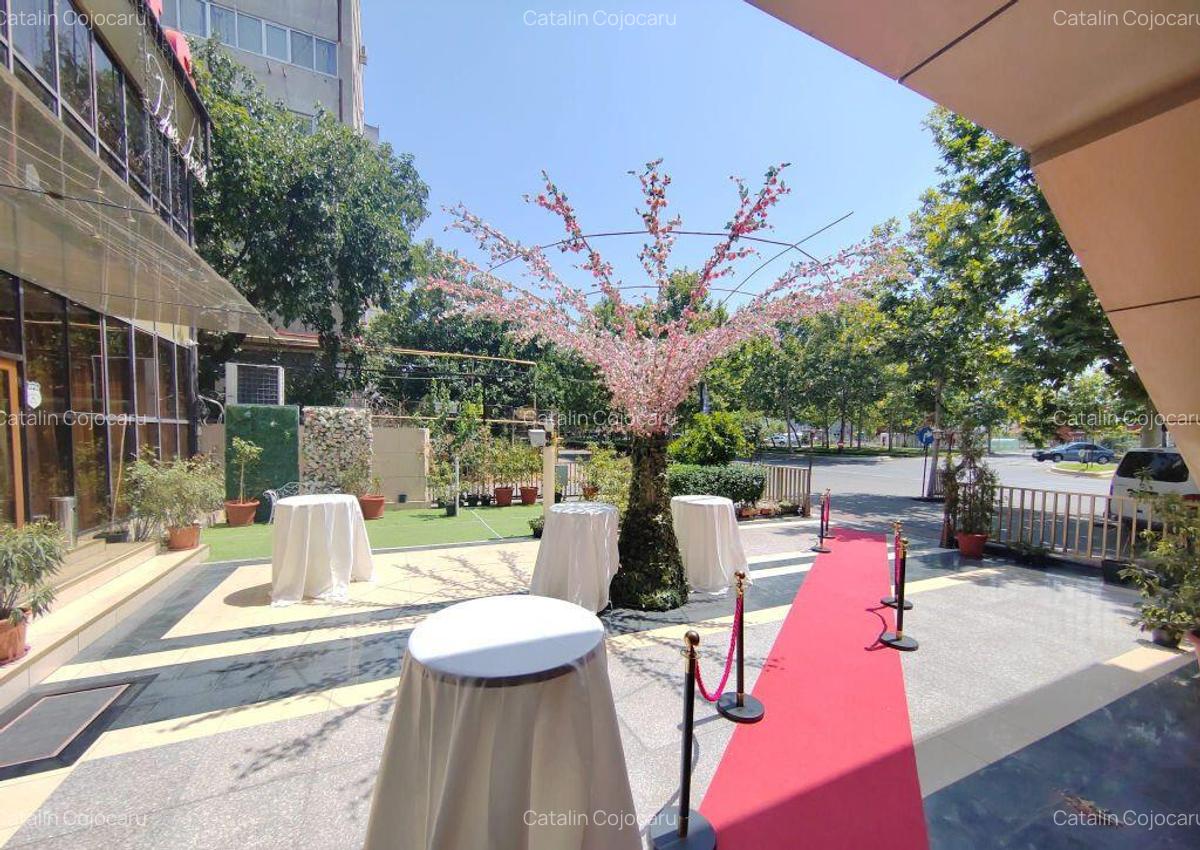 De vanzare Restaurant Casa Luminita-Super Afacere - 2