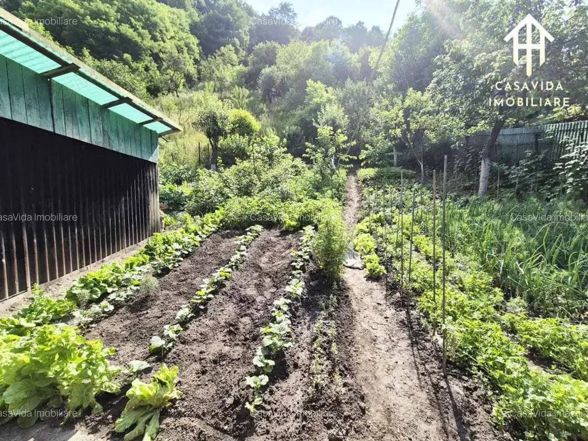 Casa de vanzare in Nadrag, jude?ul Timi? - 11 Casa de vanzare in Nadrag, jude?ul Timi? - 11