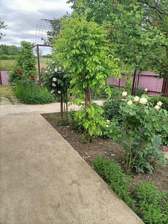 Vand casa in Barsanesti, judetul Botosani, teren 3868 mp - 6