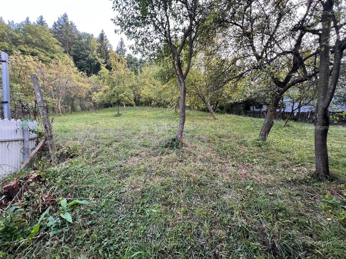 Casa de vanzare Soveja-Vrancea - 35