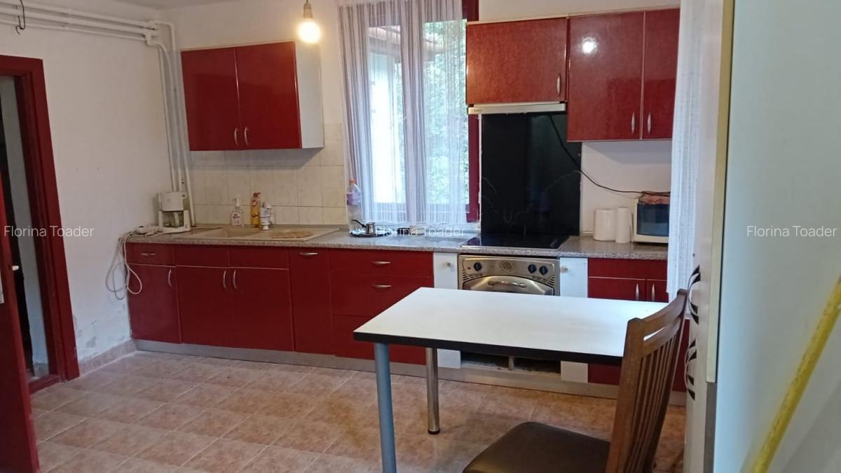Casa de vacanta Crivaia, langa Valiug -locatie idilica, ideala pentru timp liber - 12