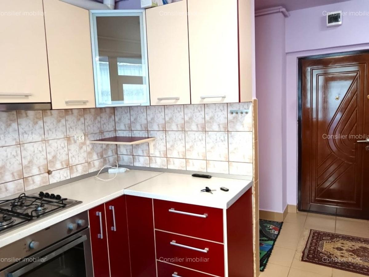 Apartament cu 2 camere si garaj, Zona Iulius Mall- 7 minute de FSEGA! - 12