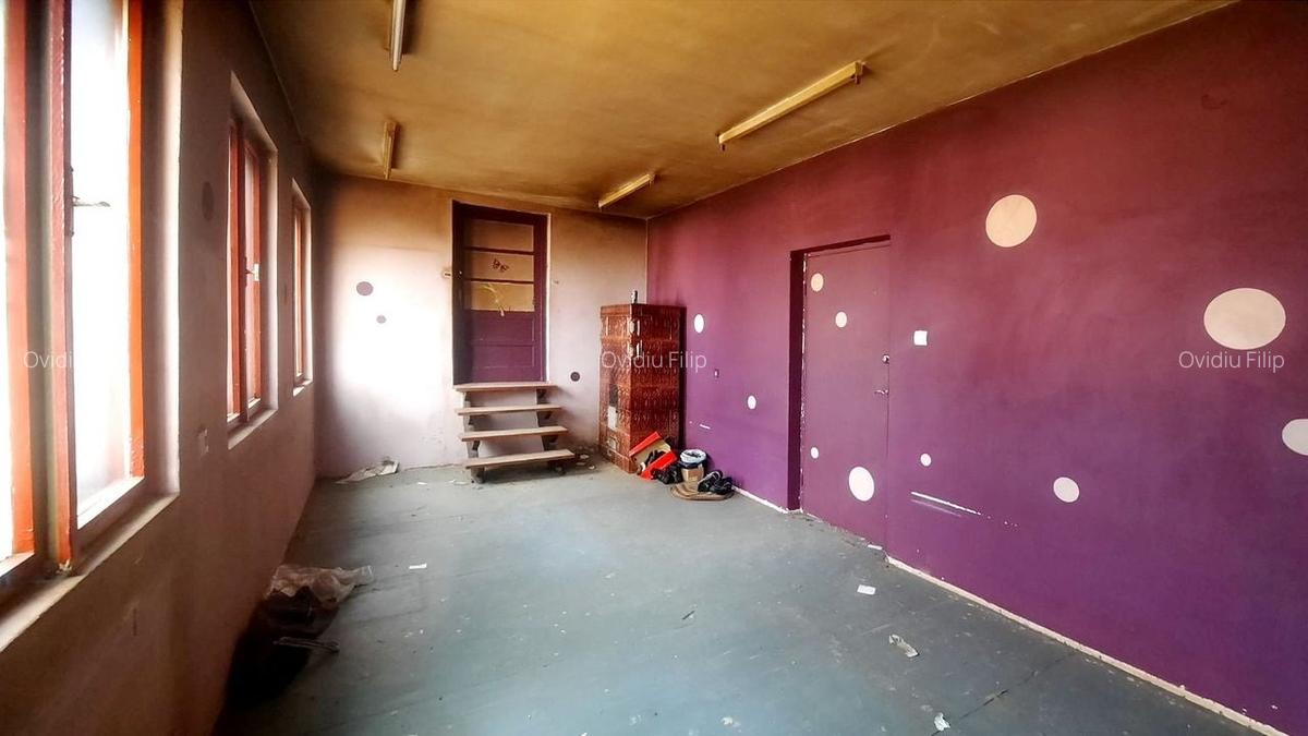 Spațiu industrial, 250 mp în Carierei - 5