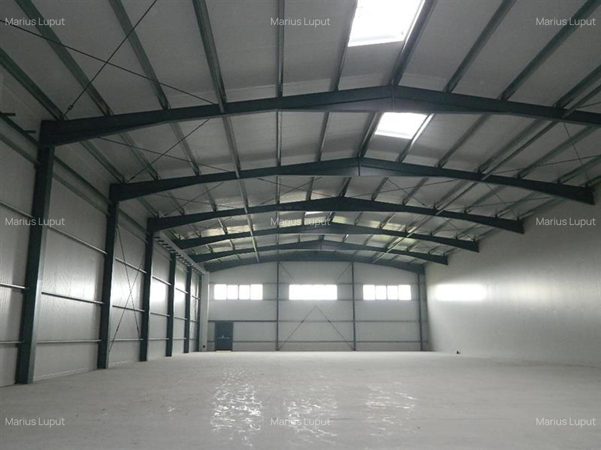 Spațiu industrial, 1000 mp în Torontalului - 4