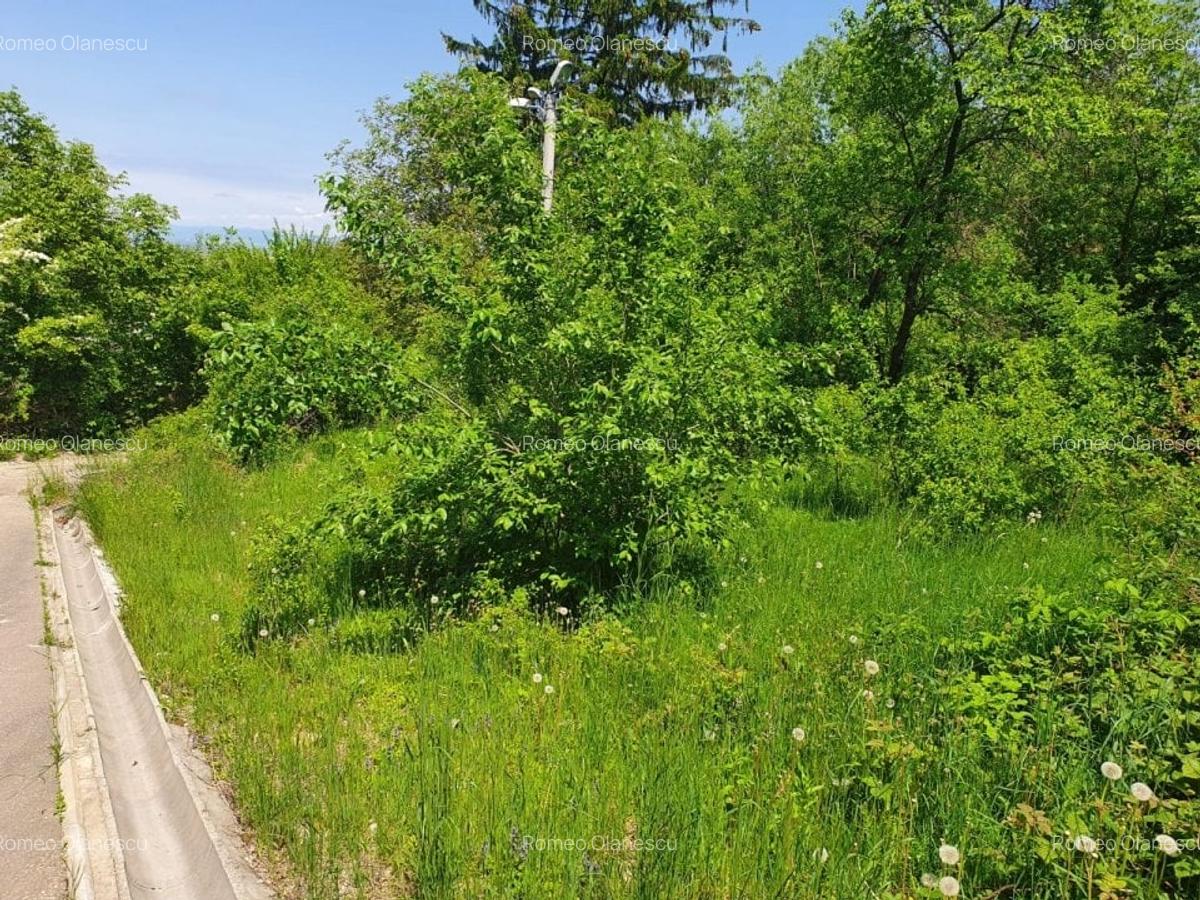 Teren Construcții intravilan de 834 mp, în Săcele - 2