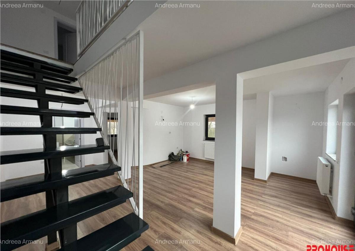 Vila la cheie- Magura Crihan- 1000 mp teren! - 4