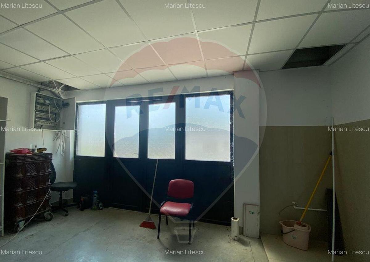 Teren cu hala, Bucsani, Crevedia / DN 61 (A1, A0) 40 Km ... - 8