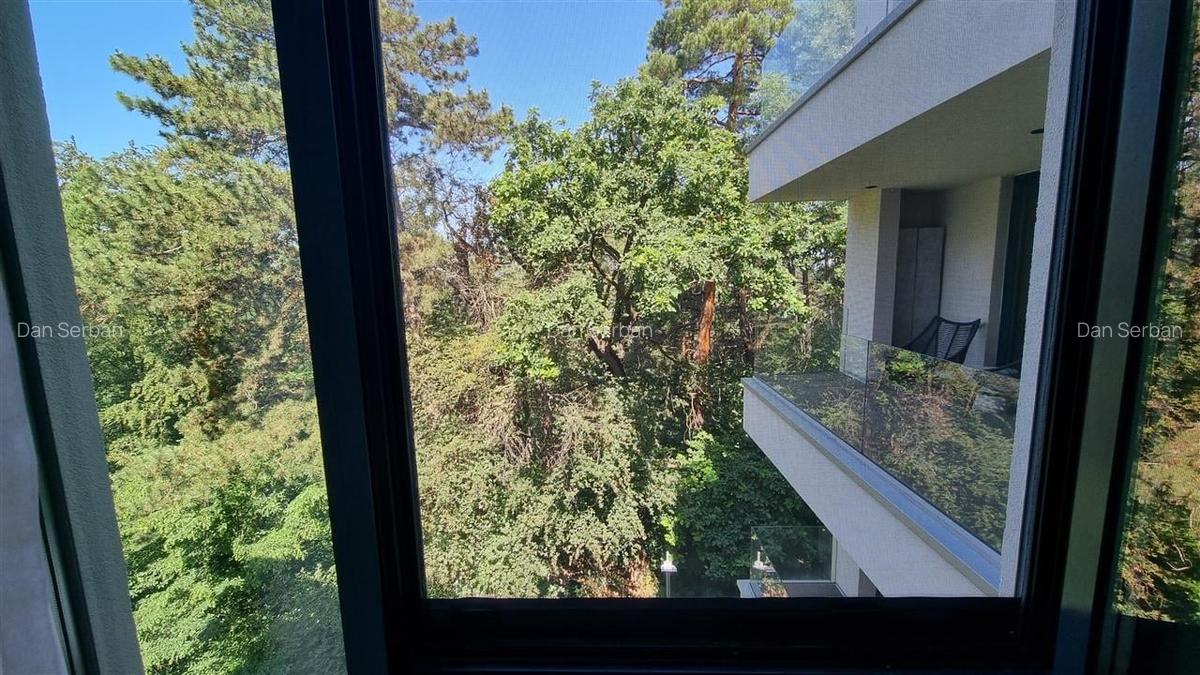Apartament cu 3 camere decomandat, mobilat în Drumul Poienii - 15