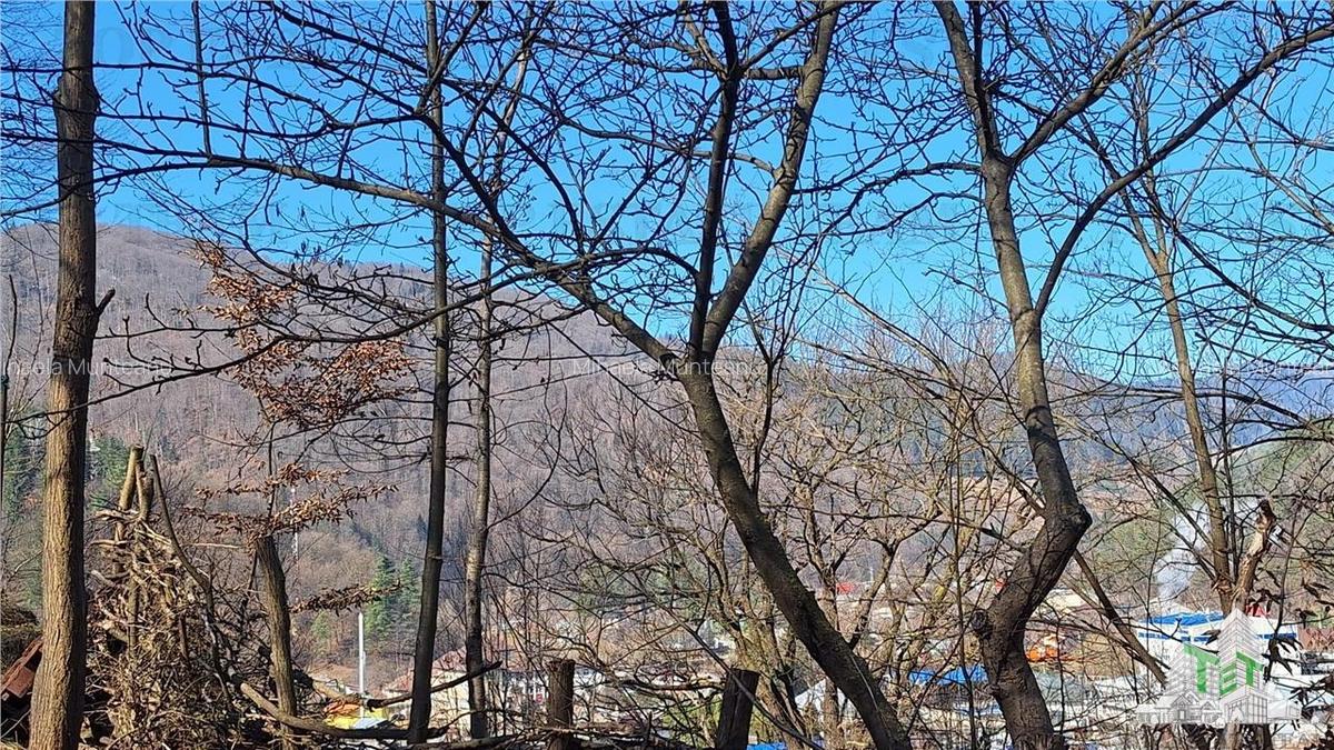 Teren Unic în Tarcau - Oportunitate pentru afacere cu potential turistic! - 3