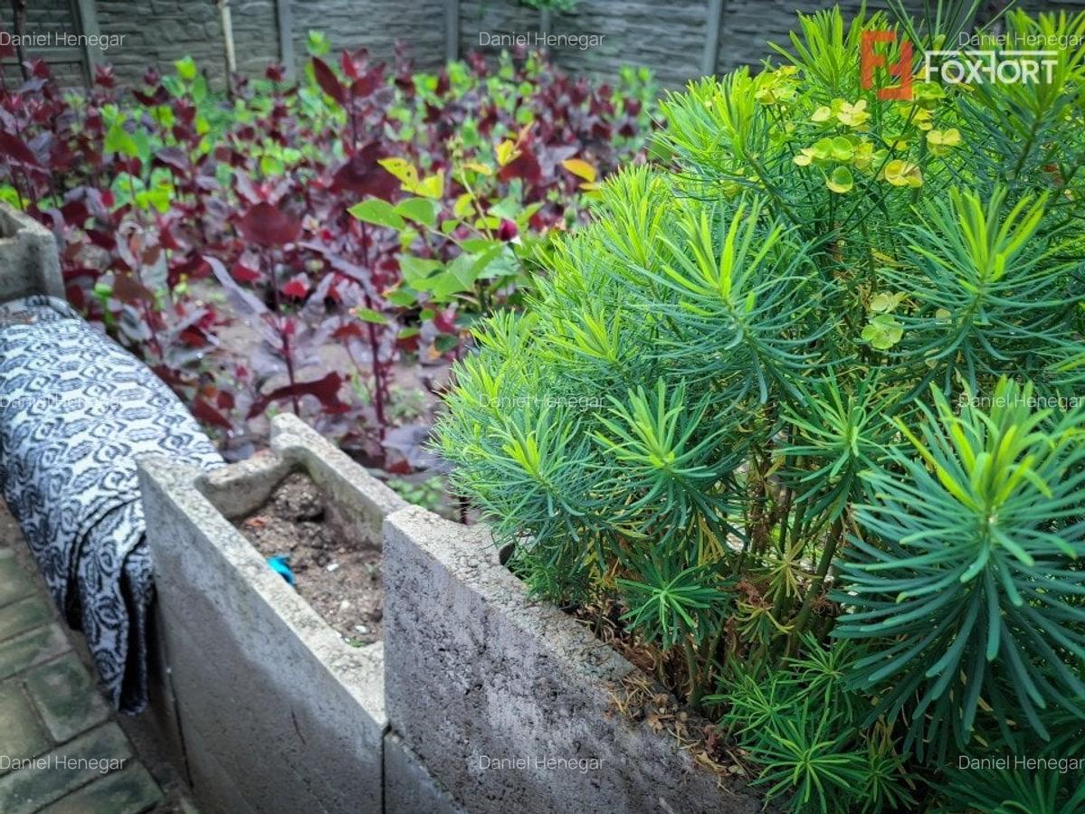 COMISION 0% OFERTA CRACIUN ! Casa individuala cu 6 camere de vanzare in Giroc - 41