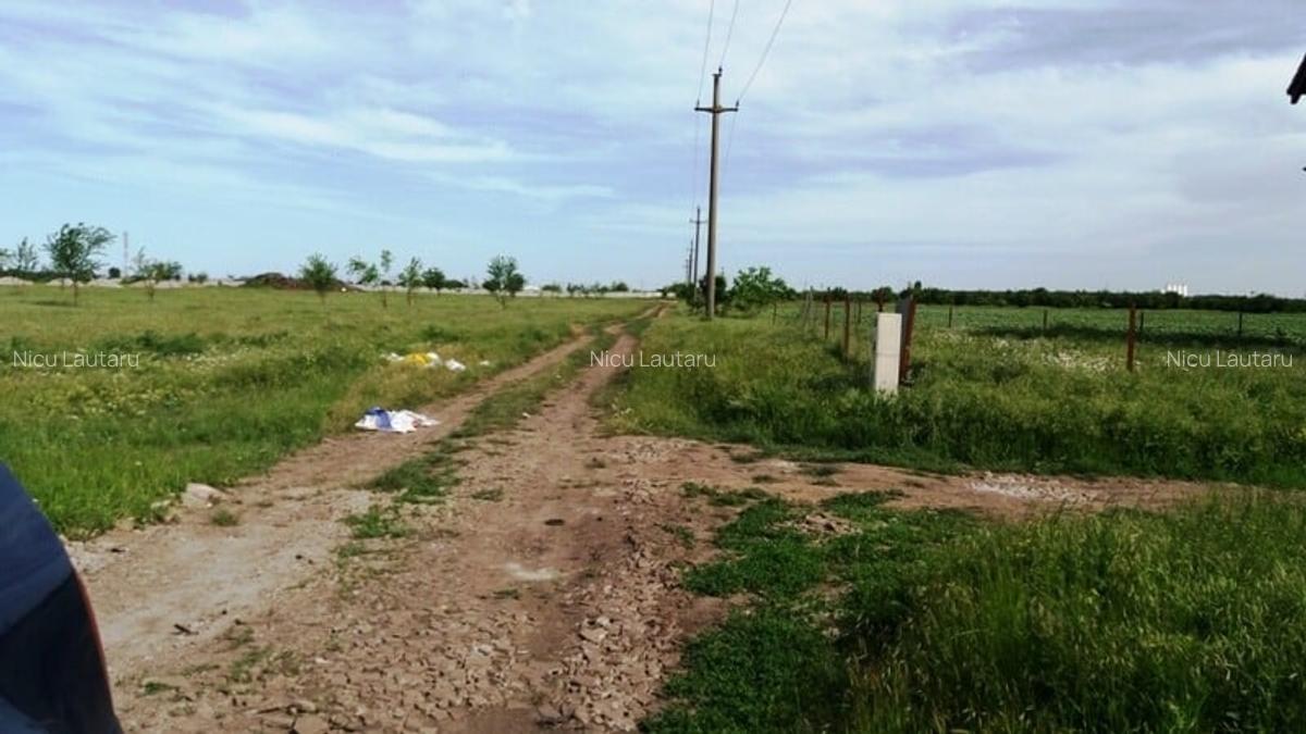 Vanzare Teren intravilan Magurele  3000mp - 6