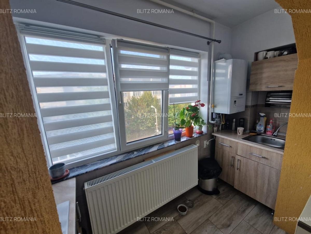 Apartament 2 camere, 52 mp, strada Paltinisului - 9