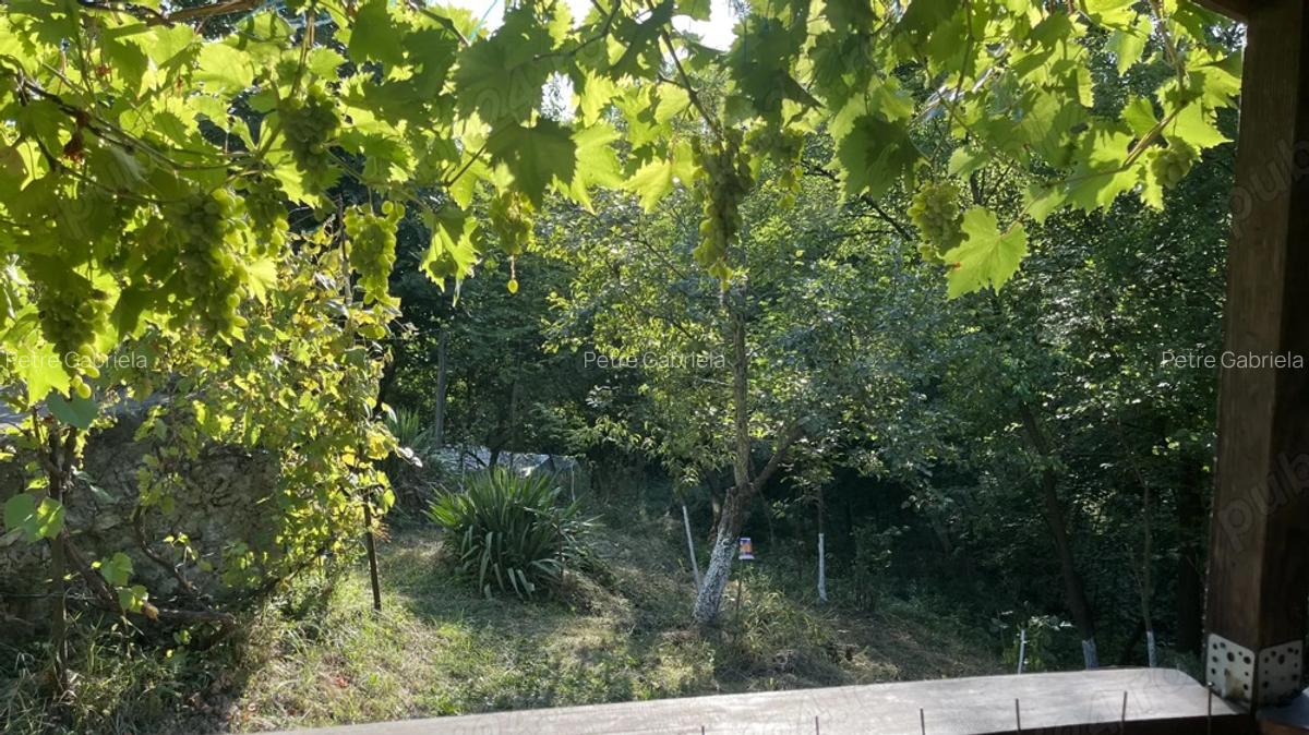 Casa situata intr-o zona superba - 8