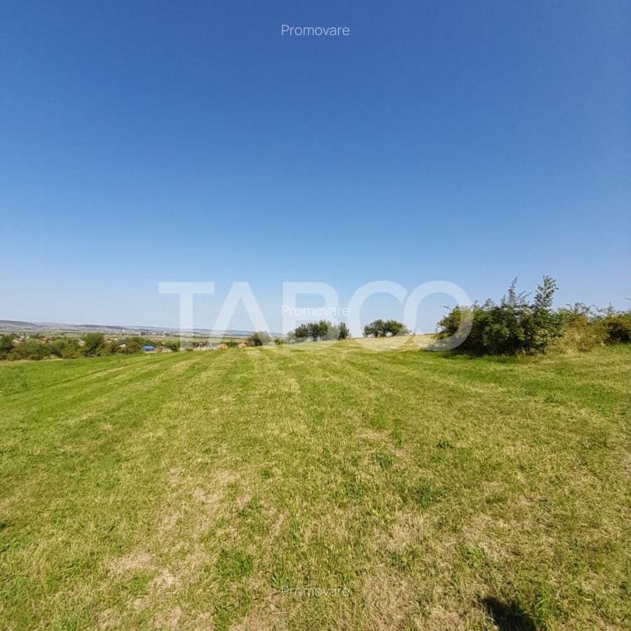 Teren 2400 mp cu deschidere 18 m in Orlat oportunitate investitii - 4