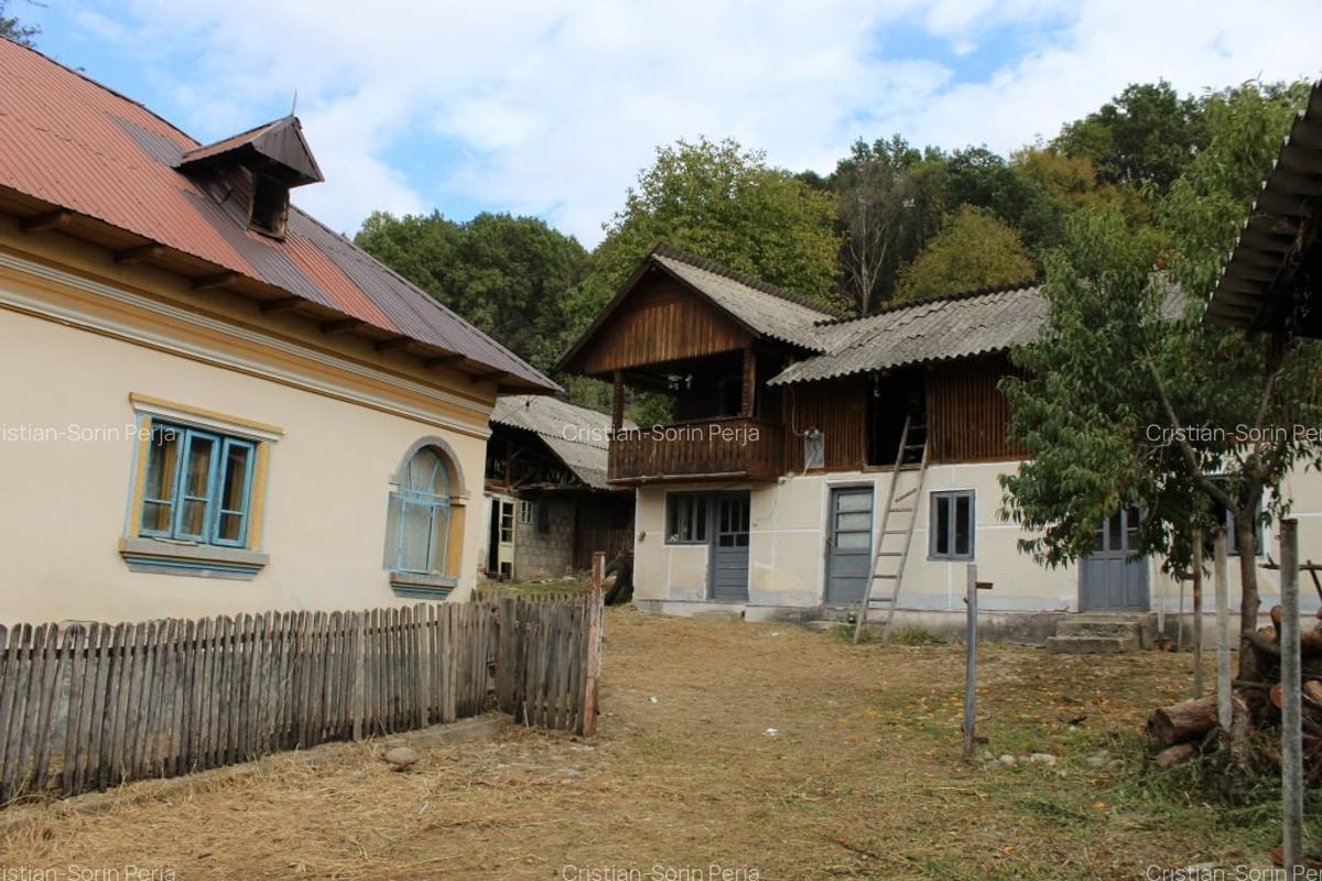 Casa si teren 5.000 mp, Stroesti - 3