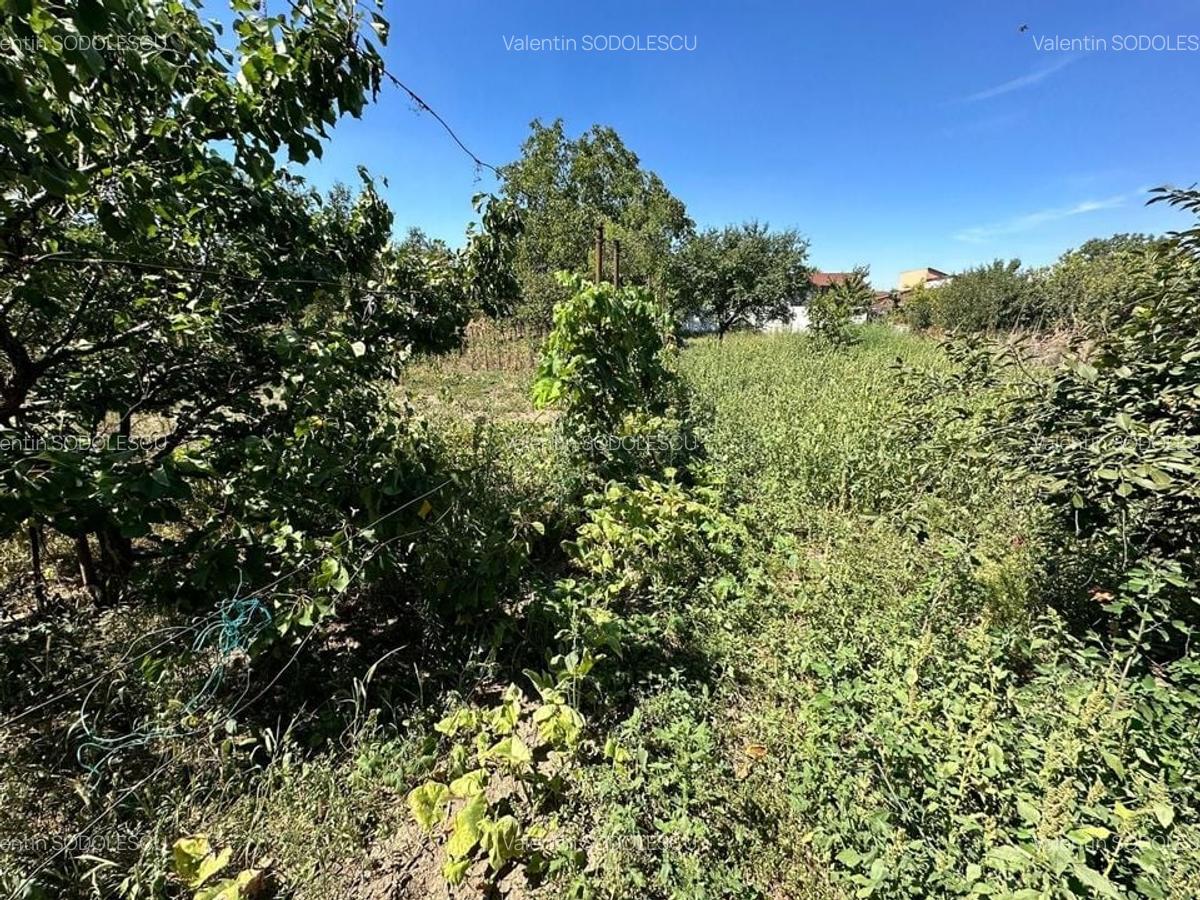 Casa cu teren 1394 mp zona Mehala - 1