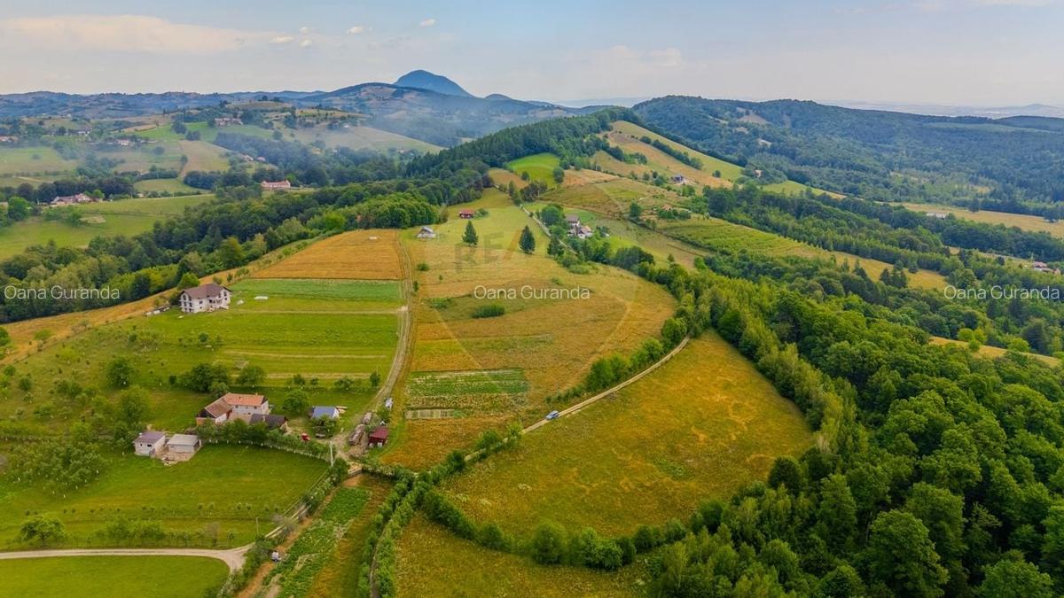 Teren Construcții intravilan de 11600 mp, în Poiana Mărului - 10