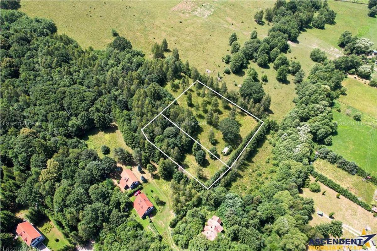 6.300mp teren,rezidenta vacanta invetitional,in fascinant cadru,Ozunca Bai, Covasna - 3