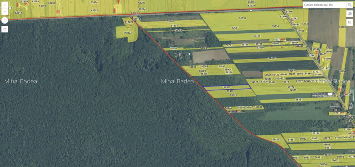 `Teren cu dubla deschidere, langa padure, Snagov - Strada Pa - 12