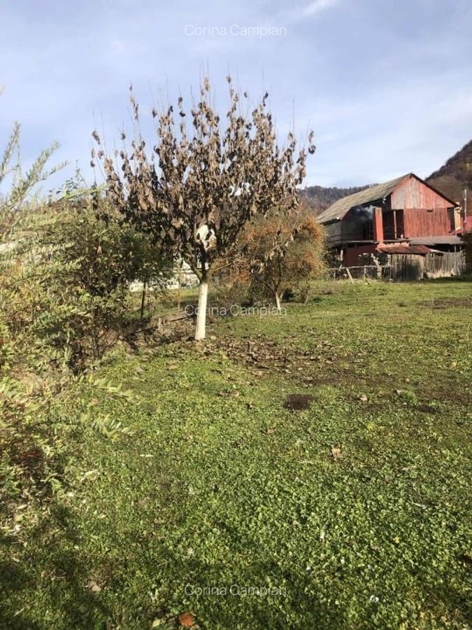 Casă cu teren, garaj, grădină la munte - 11